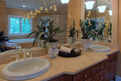 Bathroom Refinish Vanity Counter With Tub